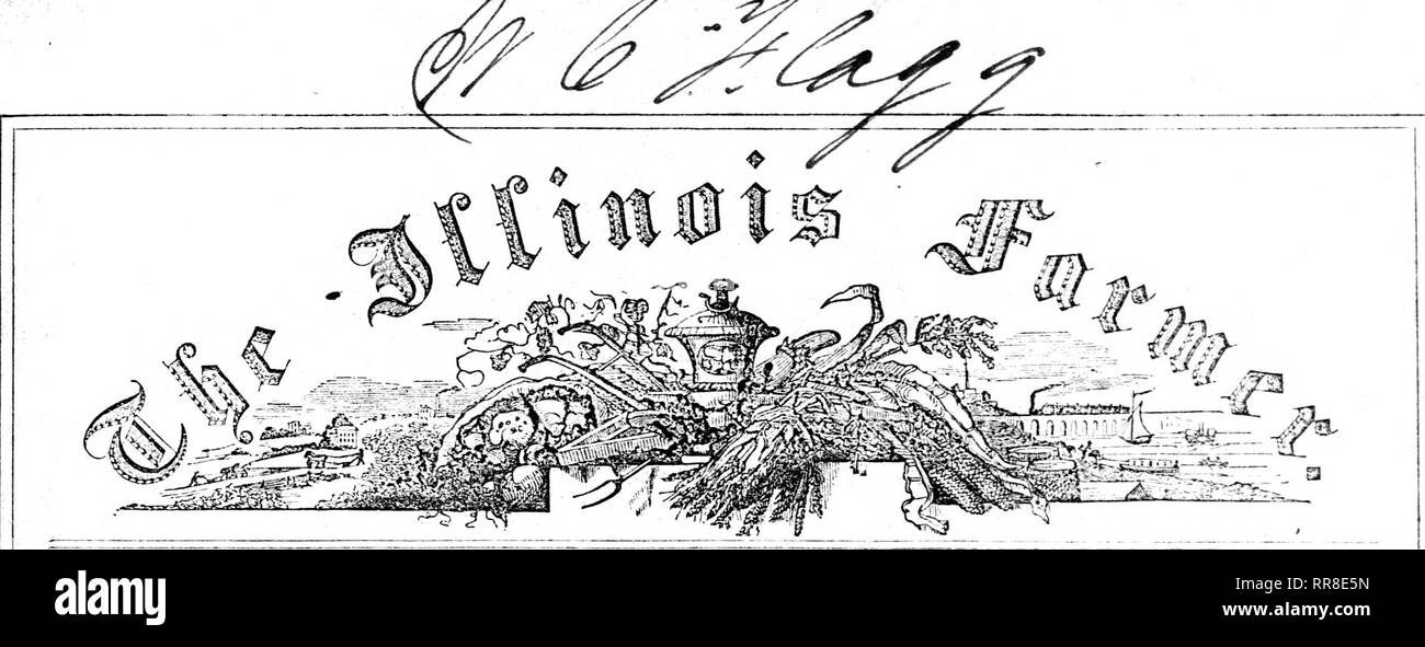 In Lead O Black And White Stock Photos Images Page 2 Alamy