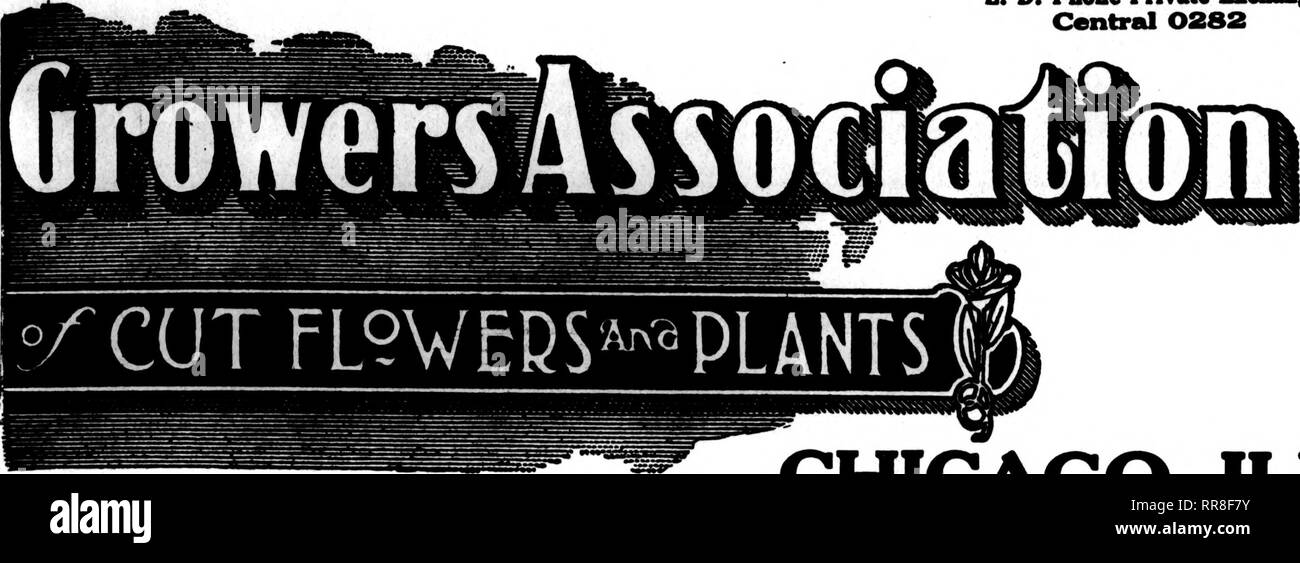 . Florists' review [microform]. Floriculture. -.-:?(? ' ? DBCBMBKB 14, 1022 The Rorists^ Review 57 Get—the Best There Is PAUL R. KLINGSPORN, Manager L. D. Phone Private Exchange Central 0282. CHICAGO, ILL. PRICE LIST Miscellaneous Christmas Flowers ORCHIDS Home-srrown Cattleyas, each $2.00 to $ 2.50 Cypripediums, doz 4.00 to 6.00 Cypripediums, per 100 30.00 Carnations Assorted per Laddie per Valley per Paper Whites per Narcissus Soleil d'Or per Violets, double per Mignonette per 100, $12.00 to $15.00 100, 18.00 to 20.00 100, 8.00 100, 100, 8.00 to 10.00 15.00 100, 2.50 to 3.00 100, 10.00 to 12 Stock Photo