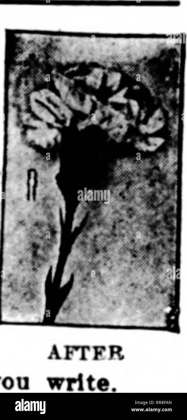 Lki Black And White Stock Photos Images Alamy