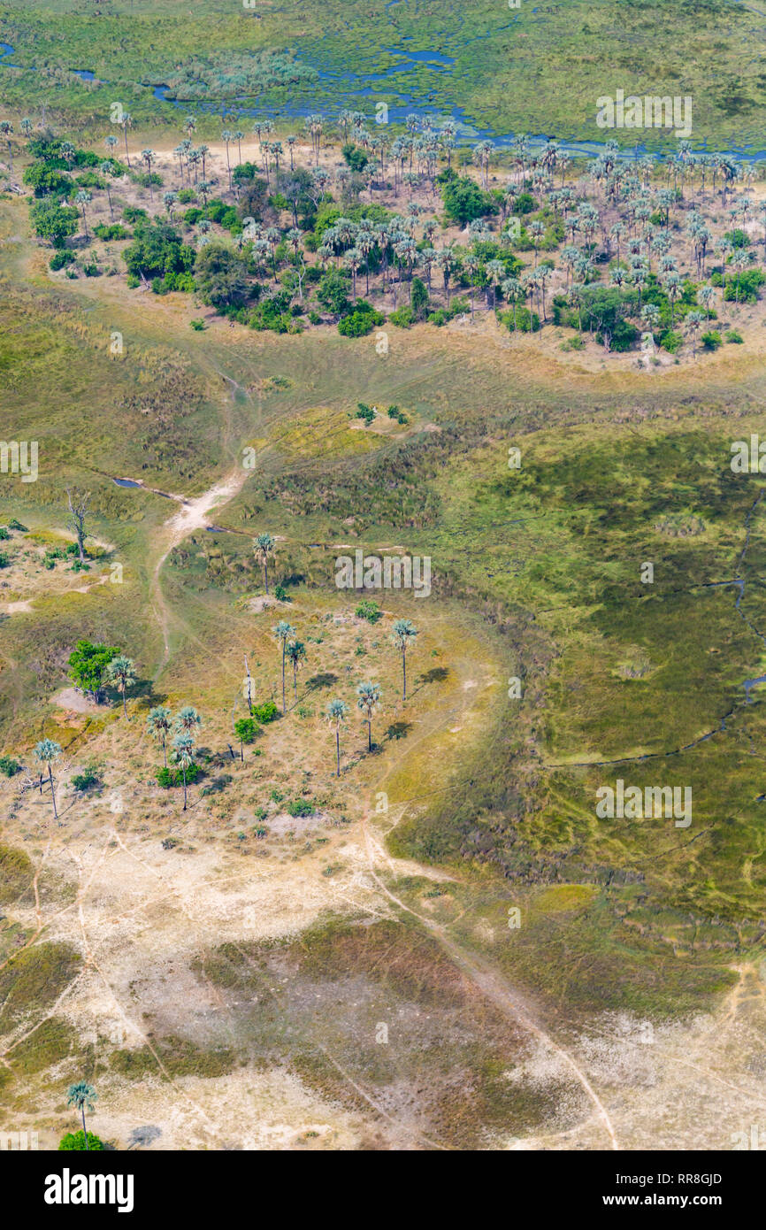 aerial view natural Okavango Delta grassland, trees, animal traces Stock Photo