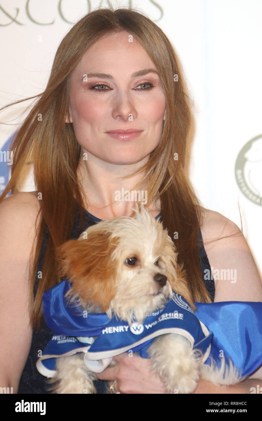 Nov 12, 2015 - London, England, UK - Battersea Dogs & Cats Home Collars And Coats Gala Ball - Red Carpet Arrivals Photo Shows: Rosie Marcel Stock Photo