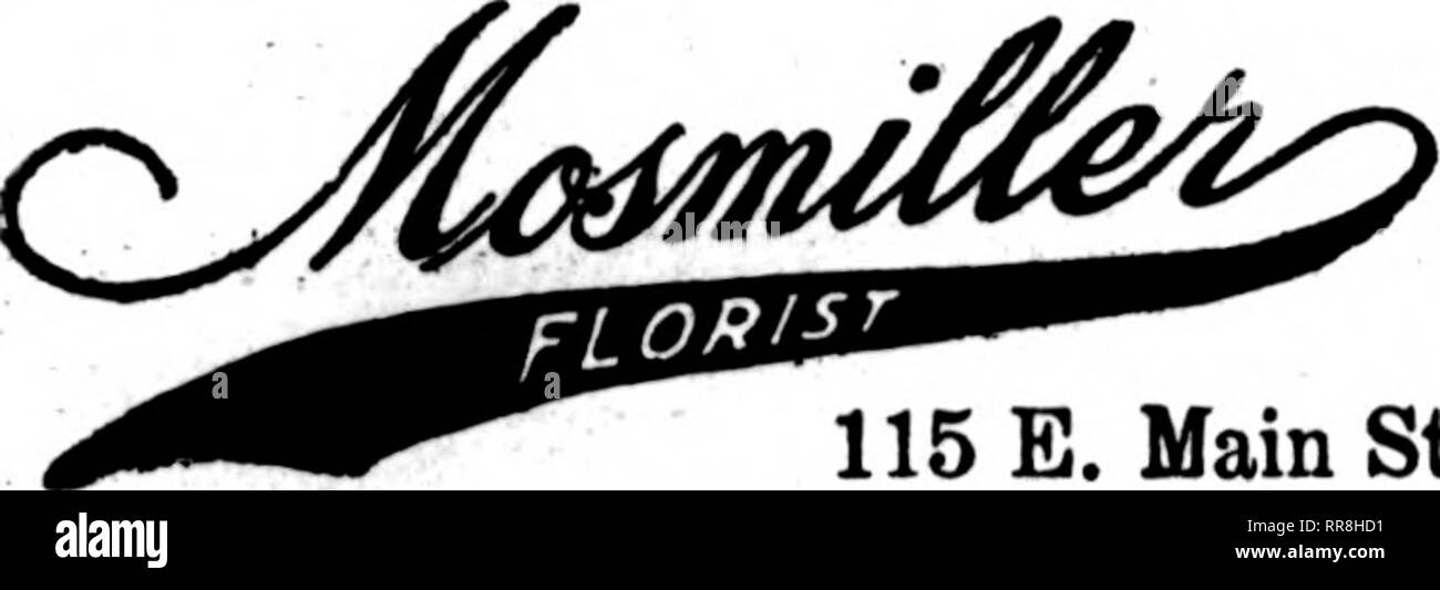 . Florists' review [microform]. Floriculture. Lexington, Ky. JOHNA.KELLERCO. INCORPORATED Mdo Street, opposite Phoenix Hotel Senrice for all Central and Eastern Kentucky Monber Floiisb* Tdegr^h Deliveiy Association RICHMOND, VIRGINIA. 115 E. Main St. Member tlorists' Telesraph Delivery Association Richmond, Va. The Hammond Company, Inc. LEADING FLORISTS 109 EAST BROAD STREET ROANOKE, VA FALLON, Florid Uember Florists' Telegraph Delivery Ass'n. CUnON FORGE, VA. ALLEGHANY FLORAL CO. Charlottesville, Va. W. A. Lankford's, Florist '^'1,'^^^ Portsmouth, Va Cotton The Florist, 333 High St PETERSBURG Stock Photo