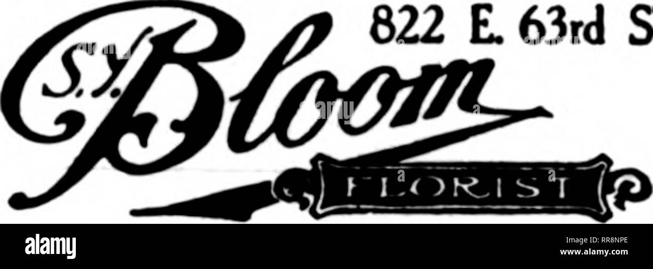 . Florists' review [microform]. Floriculture. Established 1906 MEMBER F. T. D. Store and Conservatories, 7043-45-47-49 Stony Island Ave. Long Distance Telephone, Fairfax 2801 CHICAGO, ILL. CONGRESS FLOWER SHOP T. C. FOGARTY. Mgr. 620 S. Michigan Ave. Congress Hotel CHICAGO 822 L 63rd SI.. CHICAGO THOM, Rorist 1639 MILWAUKEE AVE. Service, quality and rlRht price guaranteed to pleaKC your customers. the Constitution supply the veterans of the game with topics worth while. Many of the boys are going to church through their radio receiving outfits on Sunday mornings. M. W. Stallings and Mrs. Stall Stock Photo