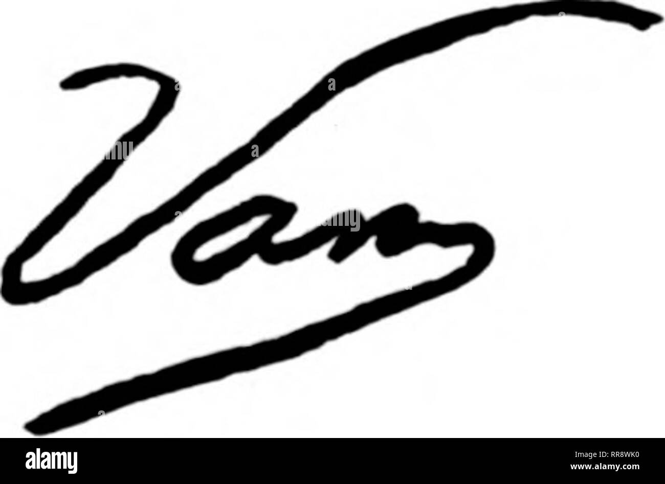 Orders of st john Black and White Stock Photos & Images Alamy