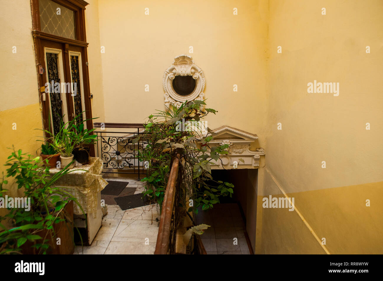 House plants in pots hi-res stock photography and images - Alamy