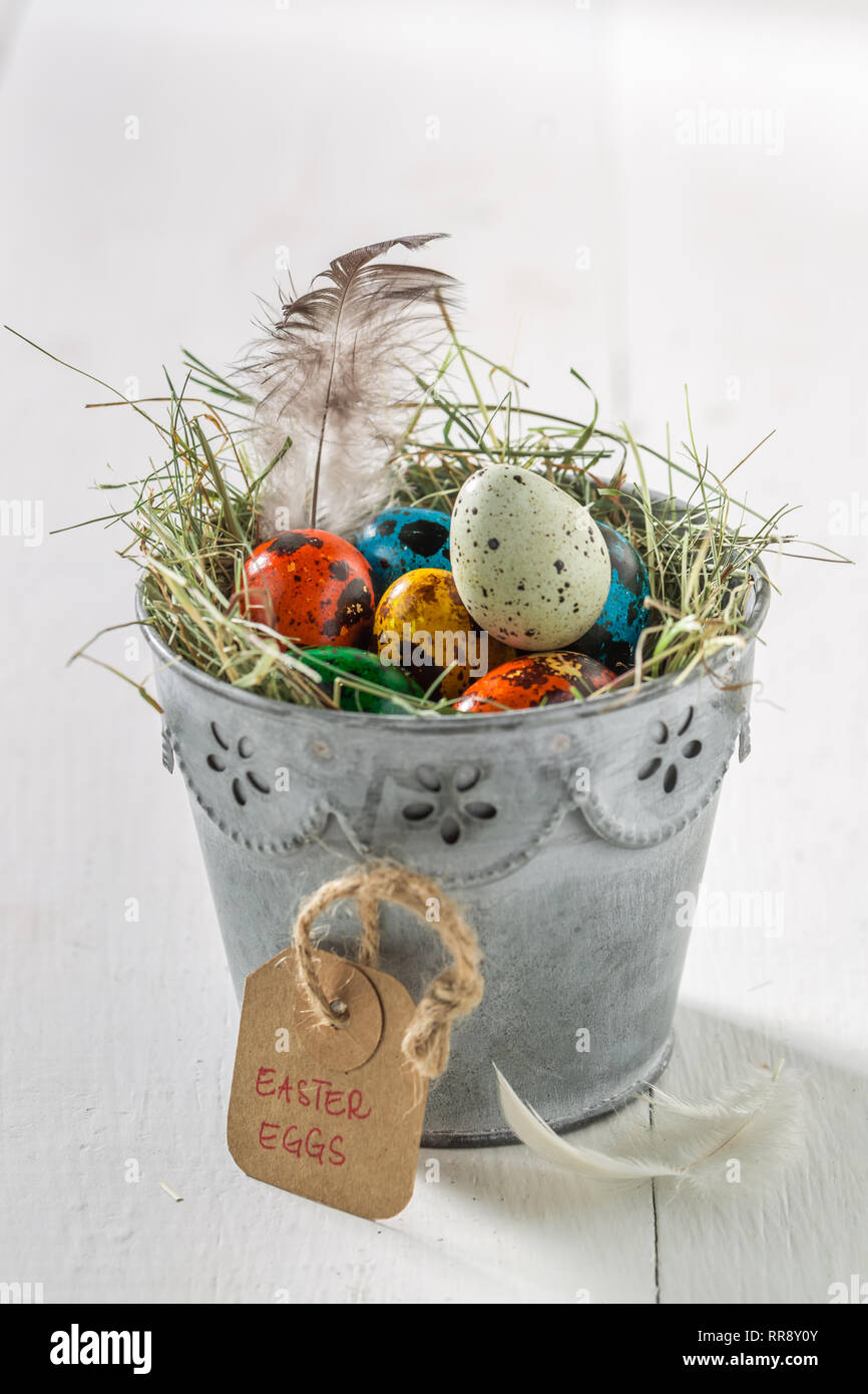 Various Easter eggs with feathers and hay on white table Stock Photo