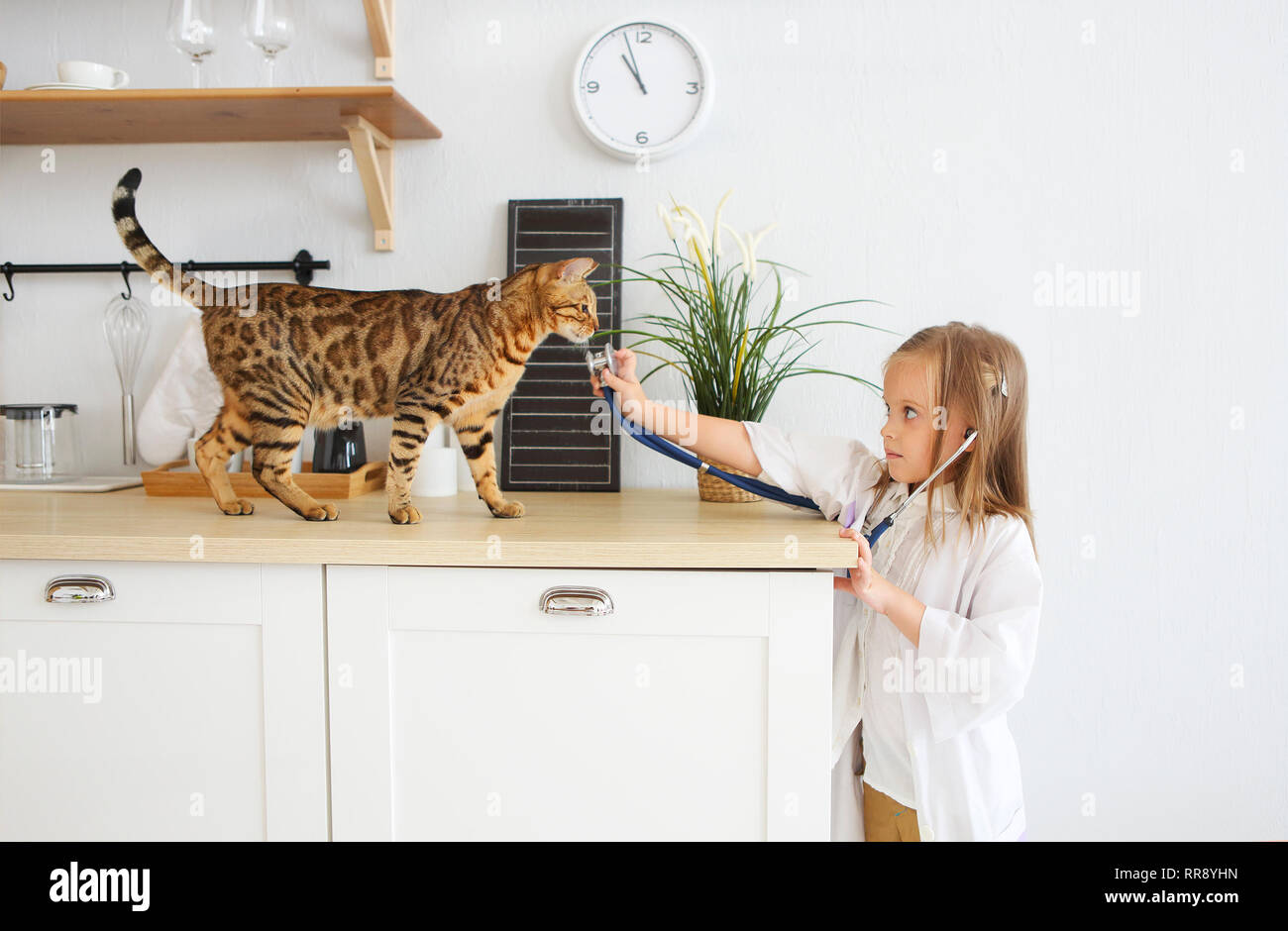 Little girl playing veterinary with her kitten on the kitchen. Animal care concept Stock Photo