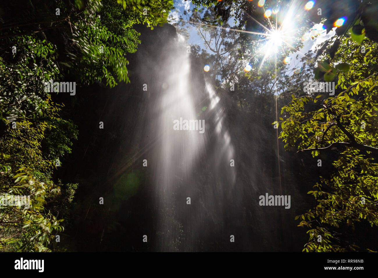 Sunshine and sun flare shining through amazing waterfall in the jungle ...