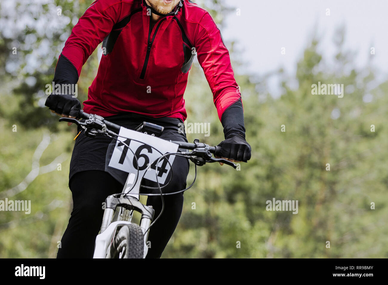 close man cyclist in mountain bike riding forest -