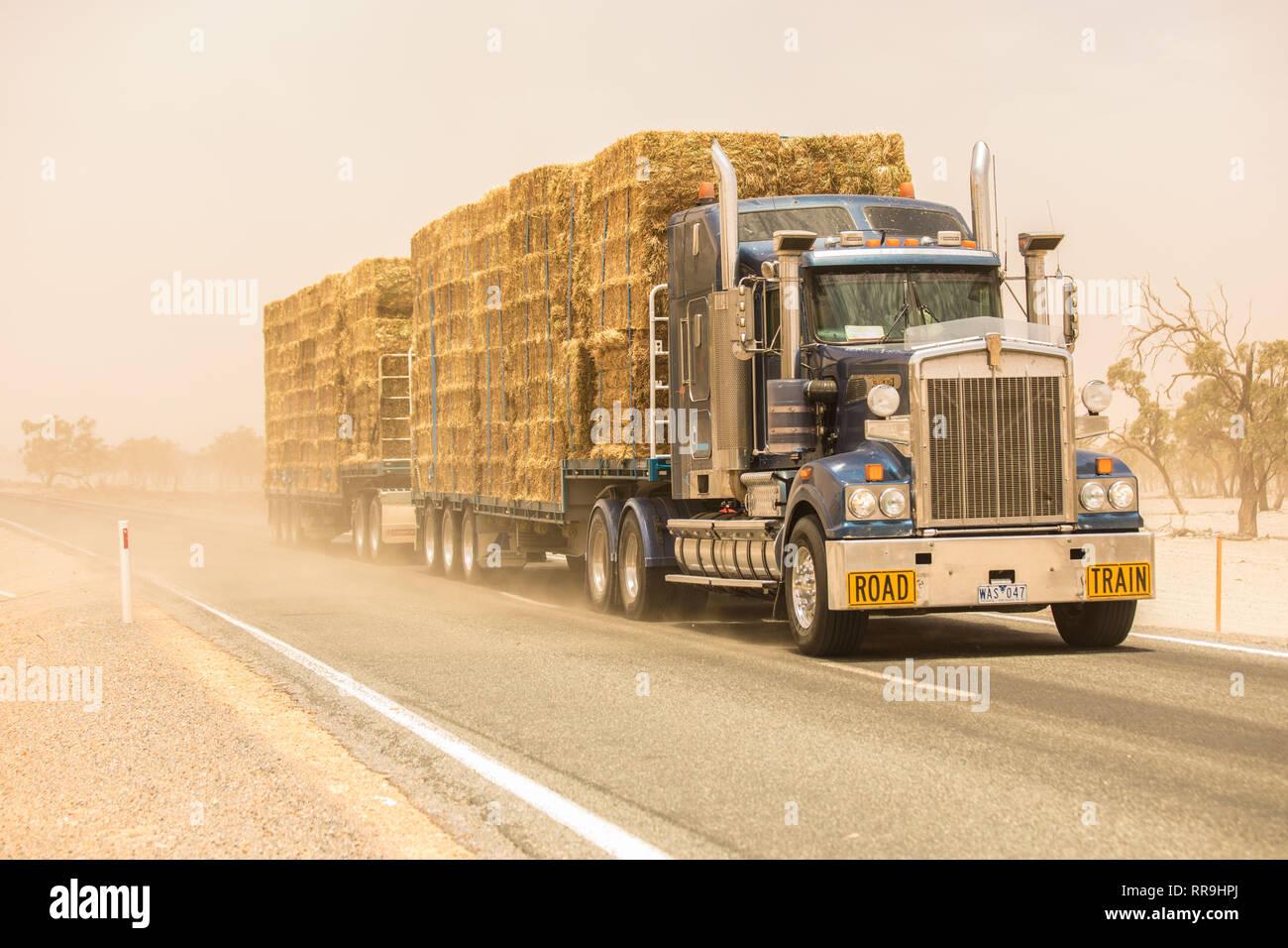A road train trucking cattle feed north during a dust storm to drought affected areas of New South Wales in Australia Stock Photo