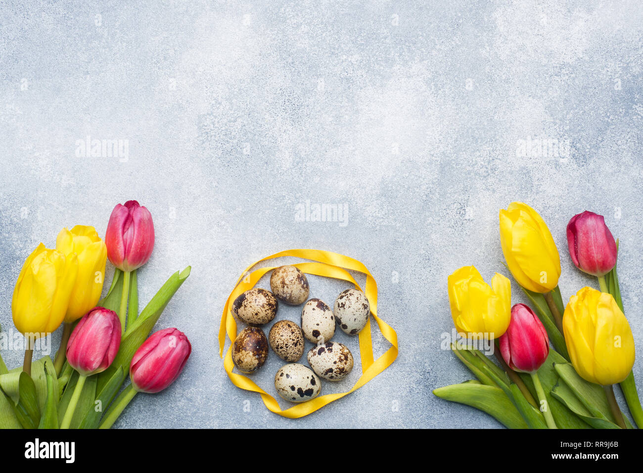 Bright flowers tulips and quail eggs on stone background. Spring and Easter holiday concept with copy space. Stock Photo
