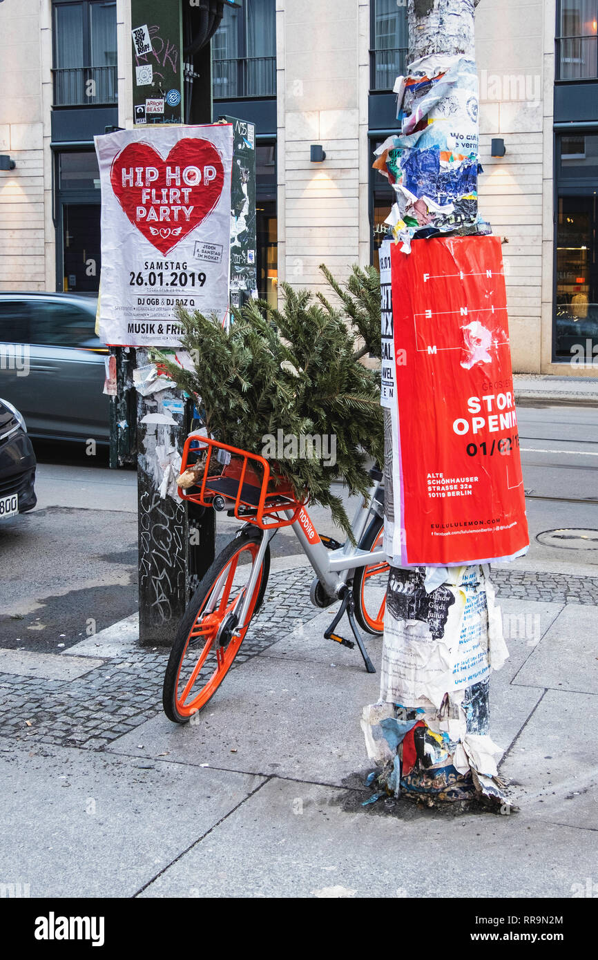Berlin, Mitte,A Christmas tree dumped in the basket of a orange Mo Bike