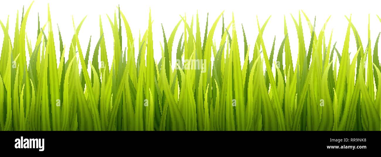 Seamless spring grass lines for edging, footer and decorations ...