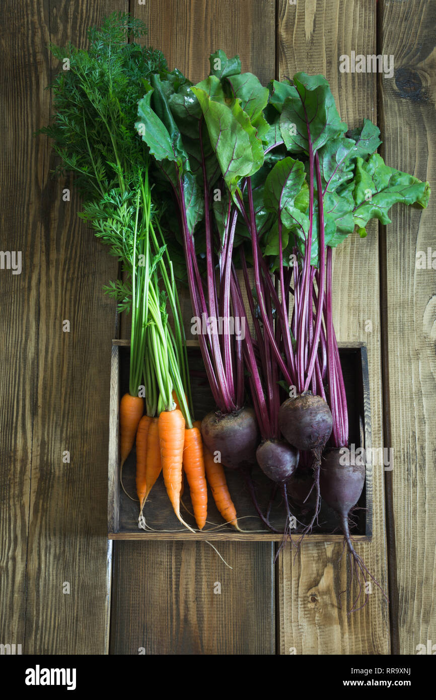 Harvest fresh carrot and beetroot on old wooden board. Top view, rustic style. Autumn still life. Gardening. Copy space. Stock Photo