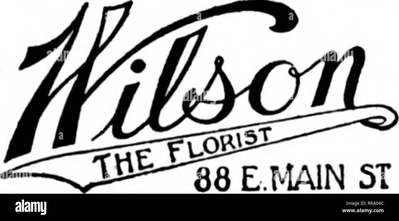 . Florists' review [microform]. Floriculture. ... FLORIST . . 426 Madison Ave.—and 49th Strert Also Vanderbilt and MlTlf/ VARK&quot; Ritz-Carlton Hotels l^ltl' W I UtXiV Telephone Murray HIU 783 Highest award at the International Flower Show, April 11, Grand Central Palace. uoeatlOB Central. PerMnal Attenttl«&amp; NEW YORK CITY THE PARK FLORIST S. H. CALAMARAS 115 E. ;Wth Street AT YOUR SERVICE FLORIST FOR 25 YEARS ESTABLISHED 1875 C. F. BAKER &amp; SON UTICA, N. Y. We Cover Central New York Members P. T. D. UnCA, N. Y. Utica FloreJ Co. Largest and most modem floral establish- ment in Central  Stock Photo