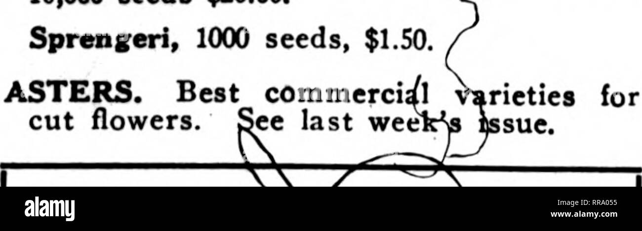 . Florists' review [microform]. Floriculture. Jdnx 1, 1922 ' ' ' The Florists^ Review 5 Choice Florists^ Flower Seeds / aim to procure the best obtainable. Less 5% for cash with order. ANTIRRHINUM. Greenhouae Forcins va&gt; rieties. Selected Seed. Pkt. Keystone $1.0C Ranuburg'a and Buxton's Silver Pink 1.00 Nelrose, Deep Pink and Giant Yellow .50 Phelps' White ajid Scarlet SO Garnet and Giant Bronze 50 Fancy Mixed Colors 50 Golden Pink Queen I.OO Hybrid Pink, Soft Orchid 1.00 Orlando 1.00 Golden Delight -. I.OO Philadelphia Pink i.oo ASPARAGUS, Plumosus Nanus, new crop seed, Northern Greenhous Stock Photo