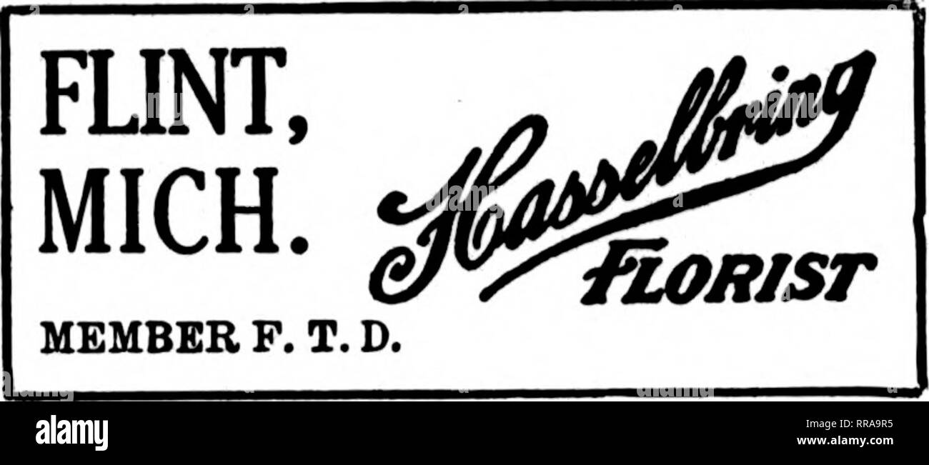 Lu 1314 hires stock photography and images Alamy