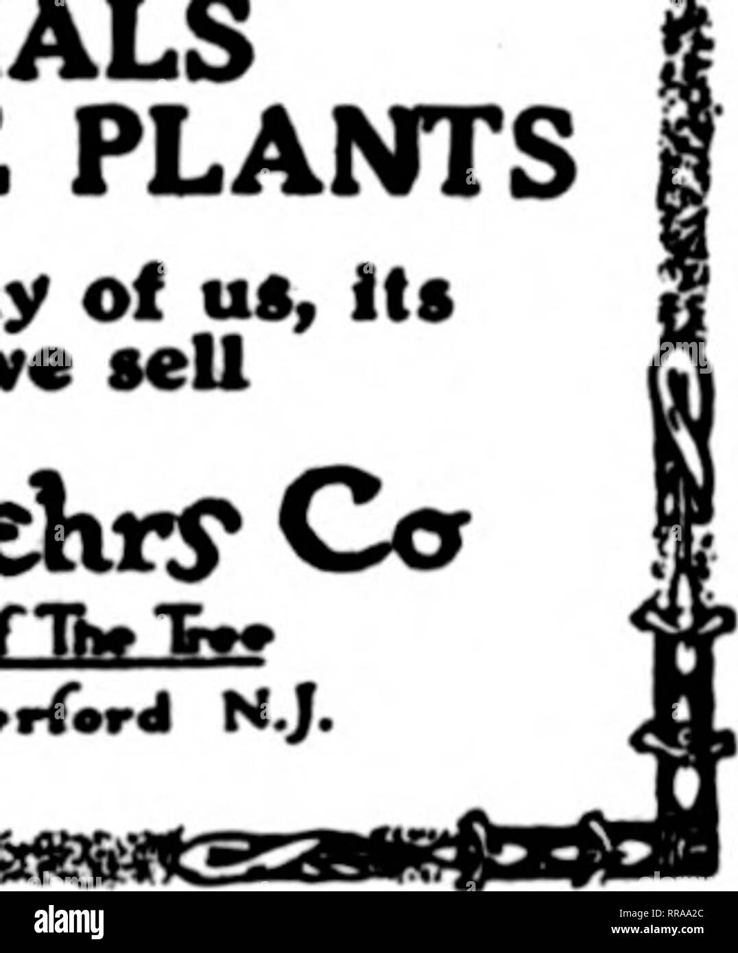 Page 2 Ca Sis High Resolution Stock Photography And Images Alamy