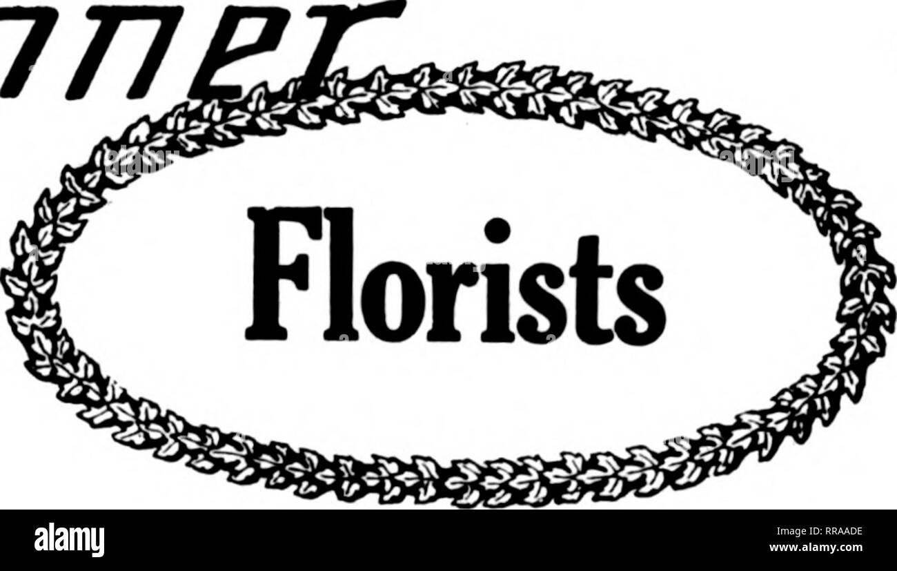 . Florists' review [microform]. Floriculture. ? ? &quot;,1 fT*- .?' &quot;^^.)l; tt»'.' t^k* 'r^ -)T,'T*7^T^it; '-^' .-yT&quot;--*.- -^^.^u «7-y.' 66 The Florists^ Review May 18, 1922 WE ARE IN FULL CROP THIS WEEK GULLETT'S OFFER of Cut Flowers CURRENT PRICE LIST PREMIER COLUMBIA MILADY BUTTERFLY OPHELIA ROSES Per 100 Select $ir).(R) to $]8.(K) Firsts 12.()0 to 15.00 Seconds KMK) to 12.()() Thirds 8.(H) to lO.CK) WHITE KILLARNEY/ Short 6.(K) to 8.00 Roses, our selection, good, short slem, $4.(K) to $5.00 per ICO CARNATIONS Per 100 Select $.').C0 to $6.00 Good 4.00 to 5.00 Split, all colors 2.0 Stock Photo