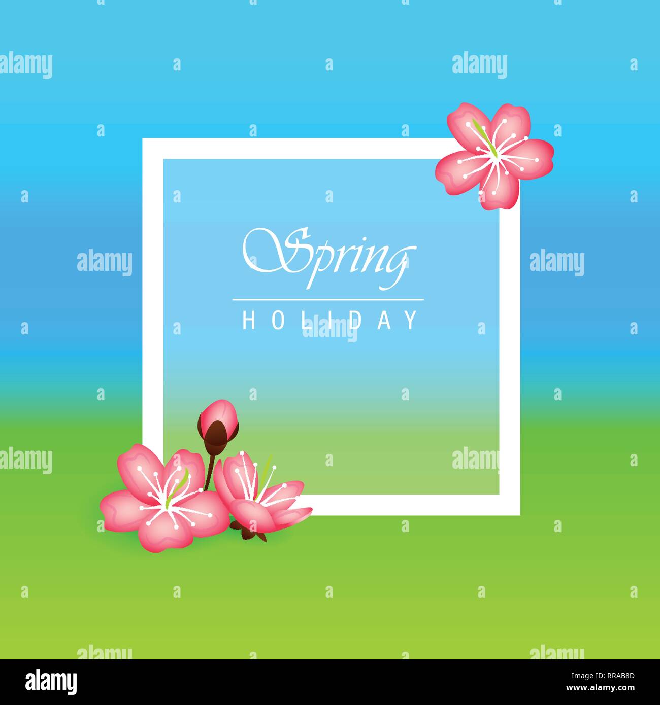 spring holiday background with pink cherry blossom flowers vector illustration EPS10 Stock Vector