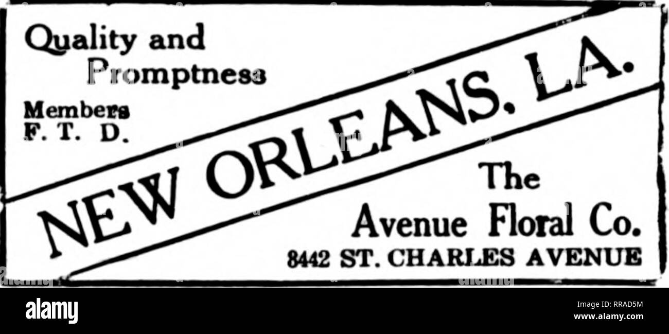 . Florists' review [microform]. Floriculture. MEMBER F. T. D. BIRMINGHAM, ALA. WIRE YOUR ORDERS TO THE BLOSSOM SHOP &quot;AN UP-TO-DATE FLORIST&quot; Mollon Hotel Bldg. 515 No. 20th Street NEW ORLEANS We Cater to the 2 600 ST. CHARLES AVENUE Qyality and Promptness. HerabeM K T. D. The Avenue Floral Co. 8442 ST. CHARLES AVENUE New Orleans, La. ^^stS^&quot;&quot; Flowers of Superior Quality Frank J. Reyes &amp; Co. 525 CANAL STREET Prompt Delivery. Please note that these images are extracted from scanned page images that may have been digitally enhanced for readability - coloration and appearanc Stock Photo