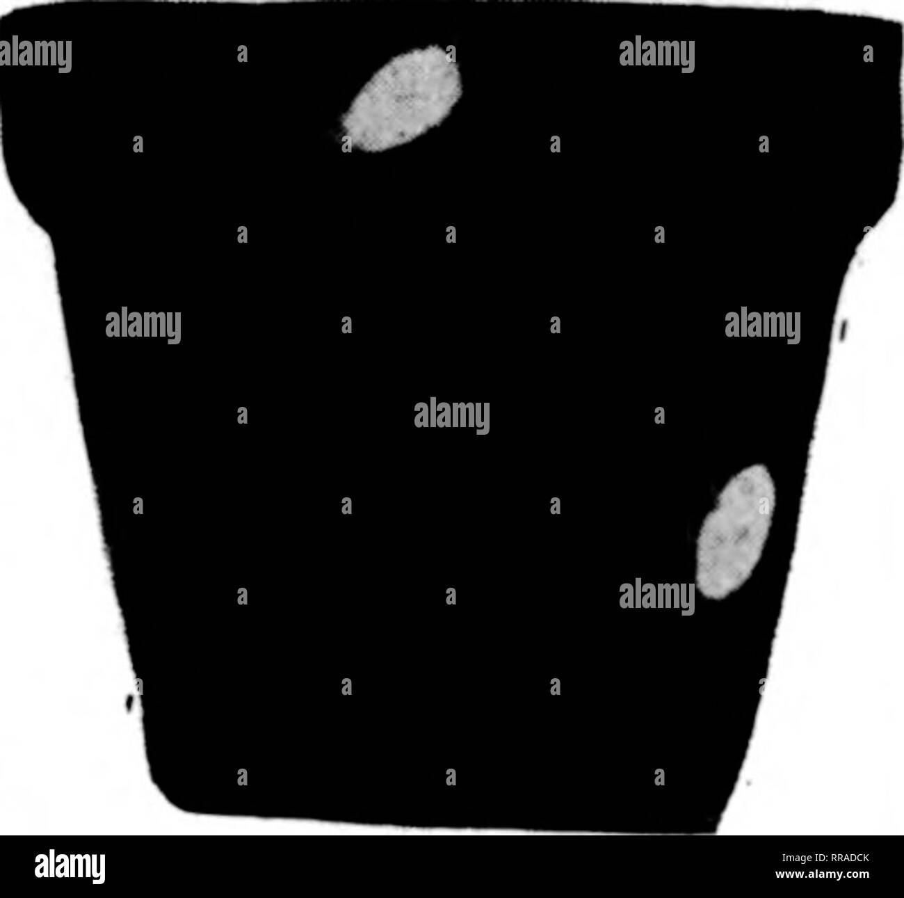 Hand Warmer Black And White Stock Photos Images Alamy