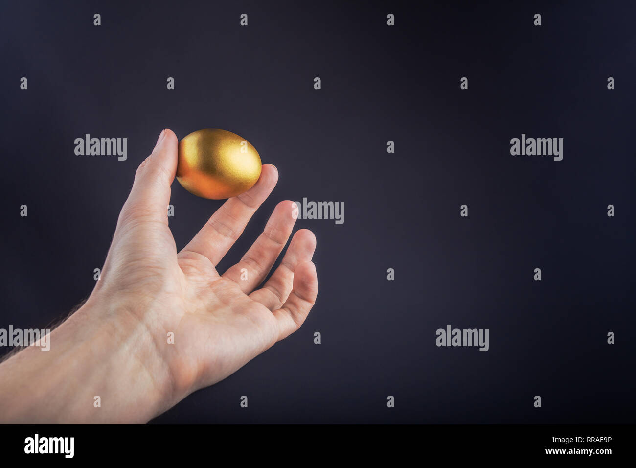Man hand holding Golden egg on a black background Stock Photo