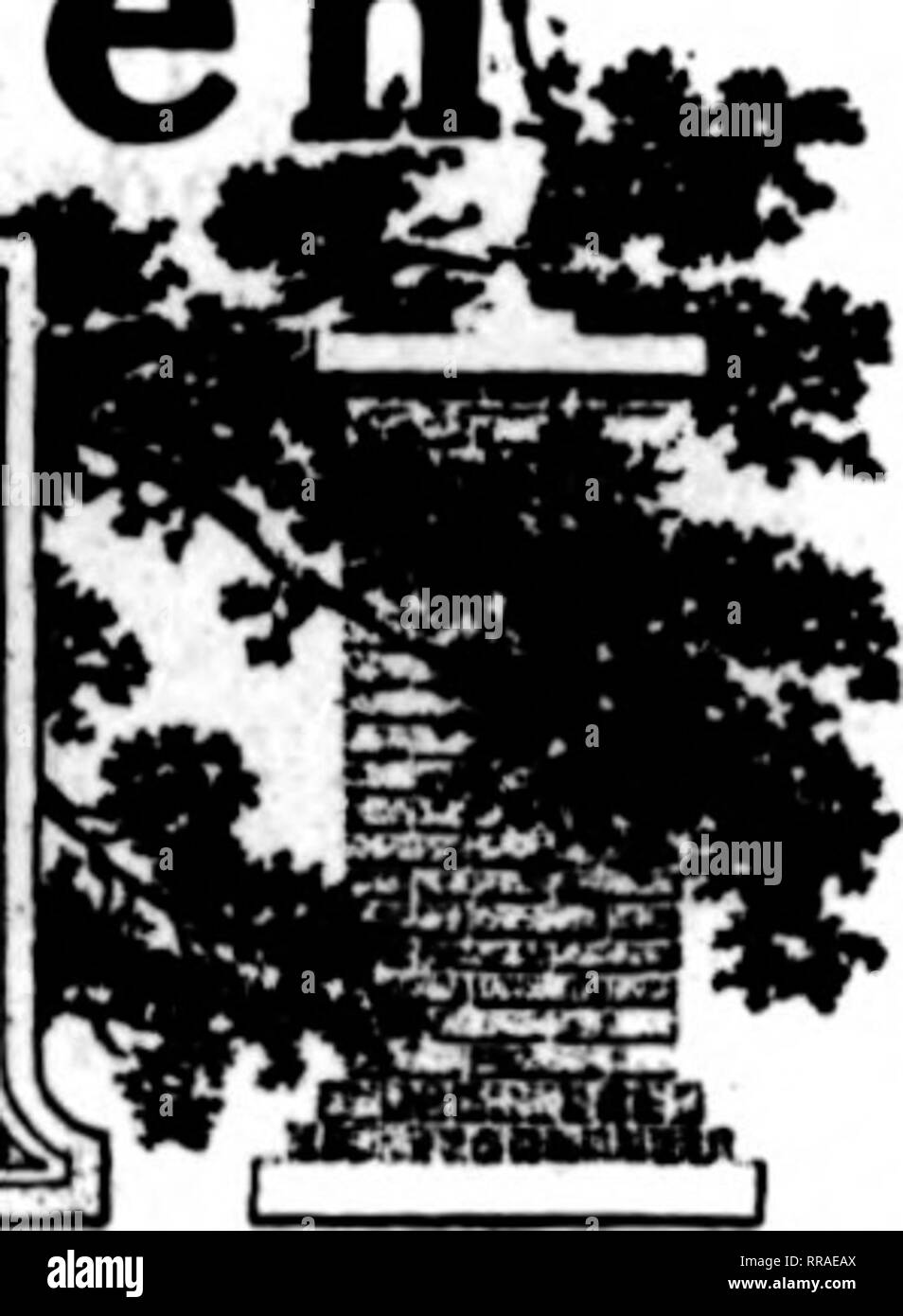 Florists Review Microform Floriculture Perennials For