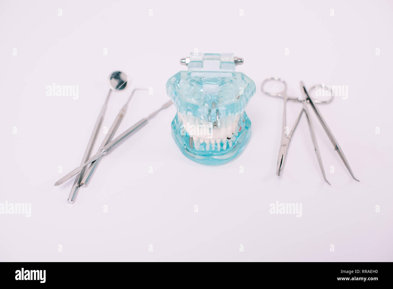 jaw model and dental instruments isolated on white Stock Photo - Alamy