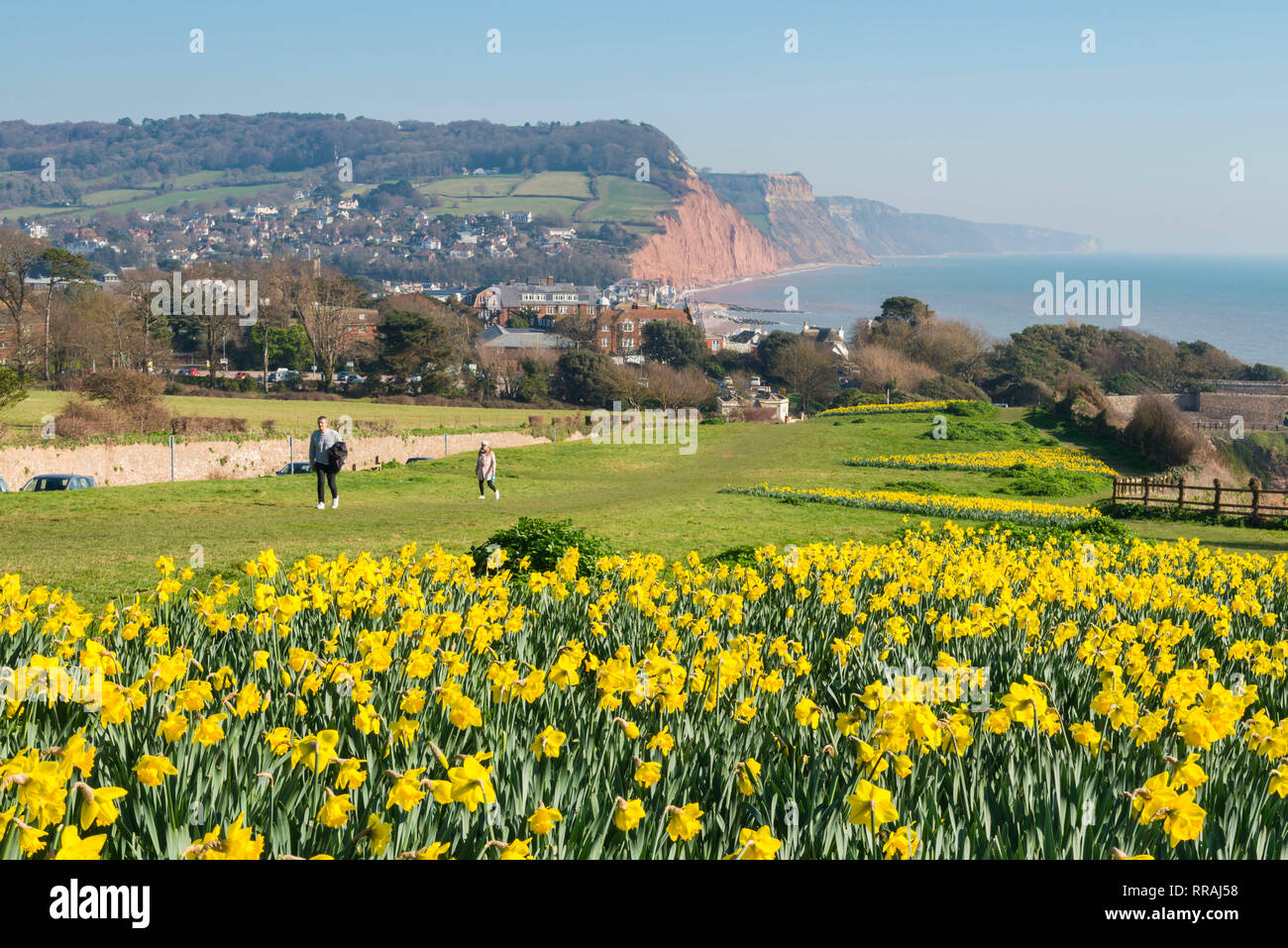 Sidmouth, Devon, UK. 25th Feb, 2019. UK Weather. Walkers enjoying the