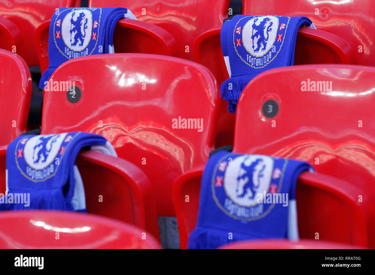 Chelsea F C Scarf Ss Amazon In