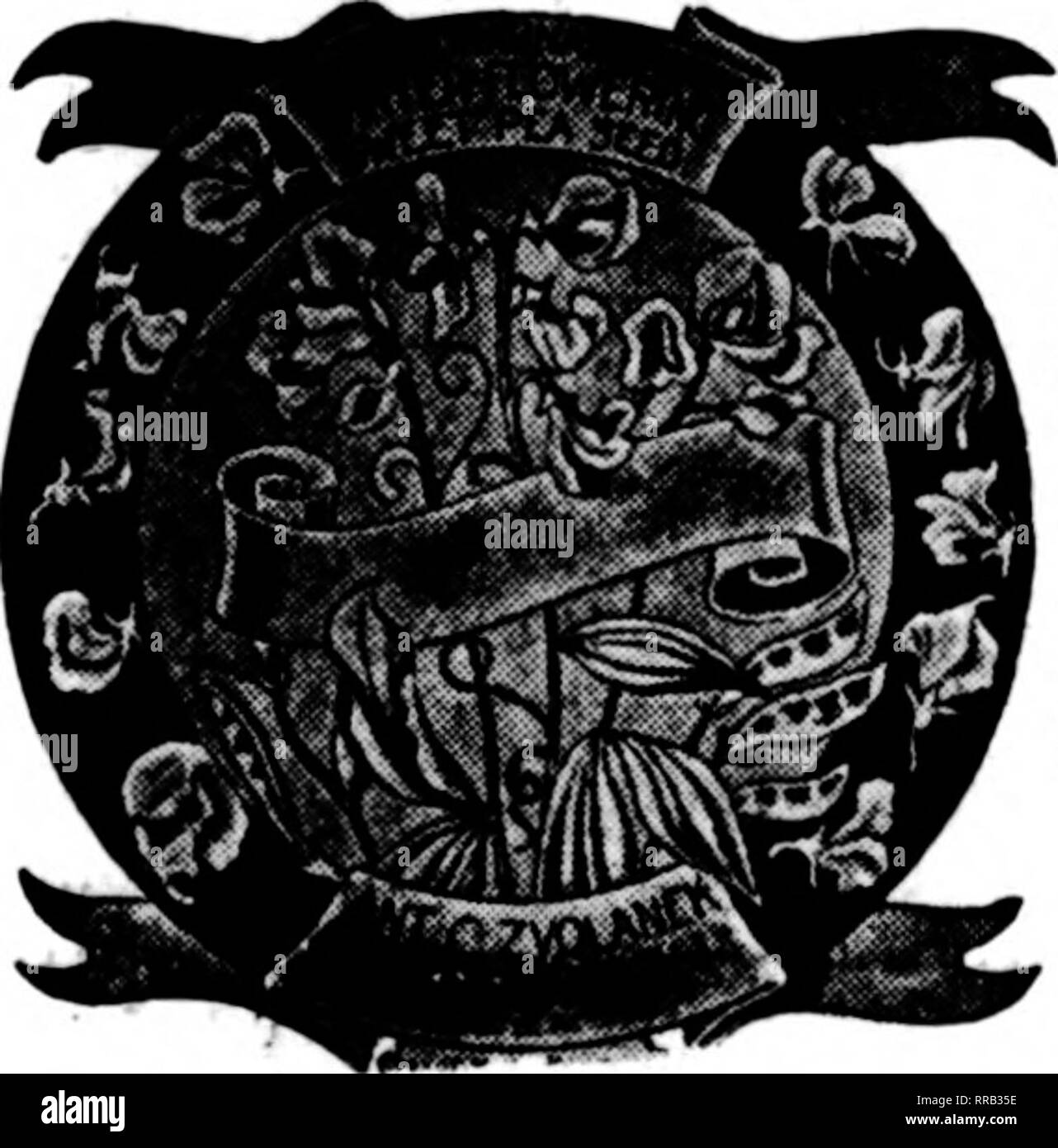 Florists Review Microform Floriculture Mabch 9 1922 The Florists Review 115 Surplus Roses Field Grown Own Root Clean Dor Mant Stock Satisfaction Guaranteed A Grade Regulai Heavy Stock About 18 To 24 Inches B