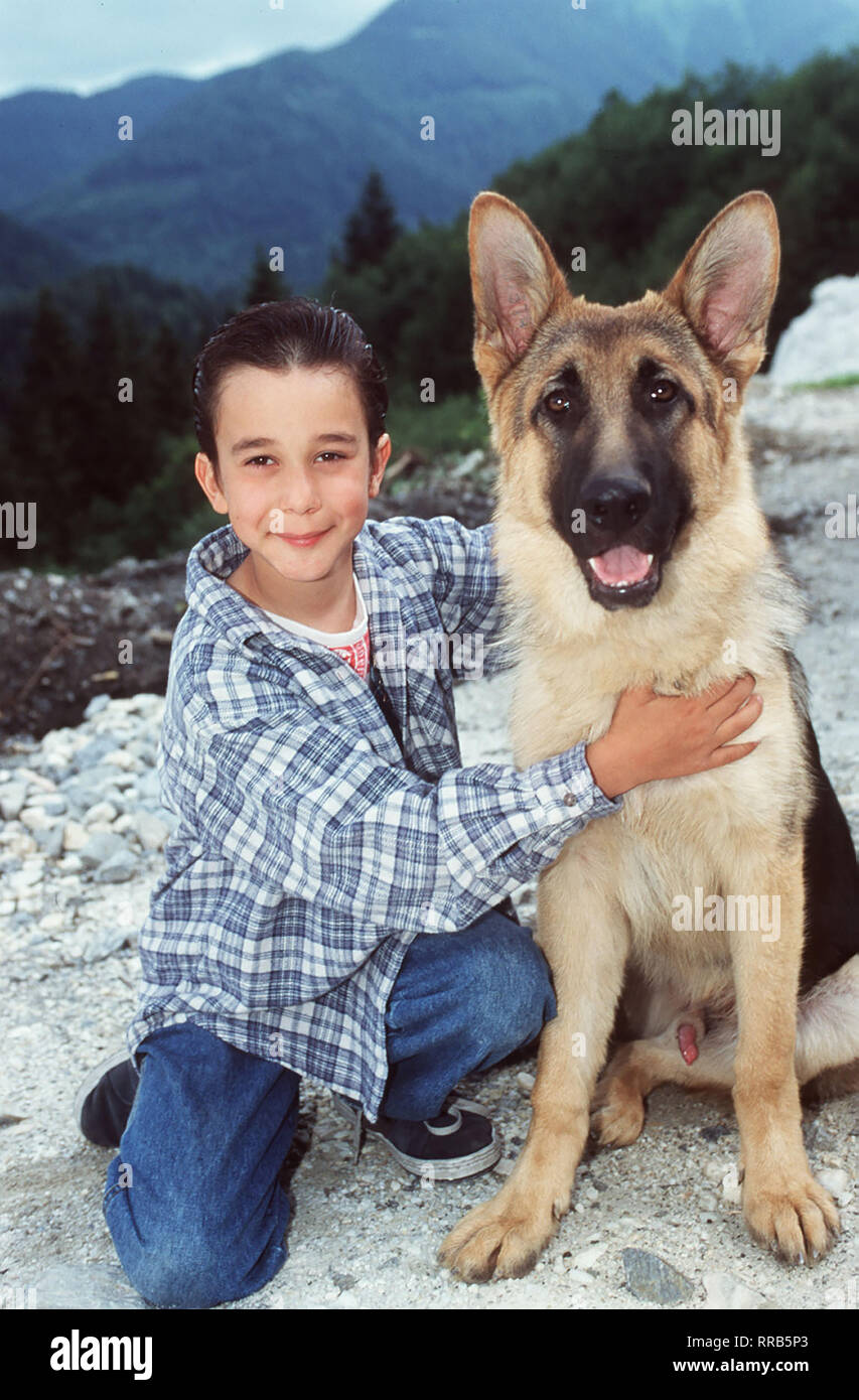Rex wächst mit dem achtjährigen Benny (RAPHAEL GHOBADLOO) in einem idyllischen Bergdorf auf. Gemeinsam erleben sie auf dem Land und später in Wien viele Abenteuer. Regie: Oliver Hirschbiegel / Überschrift: BABY REX - DER KLEINE KOMMISSAR / AUT 1997 Stock Photo