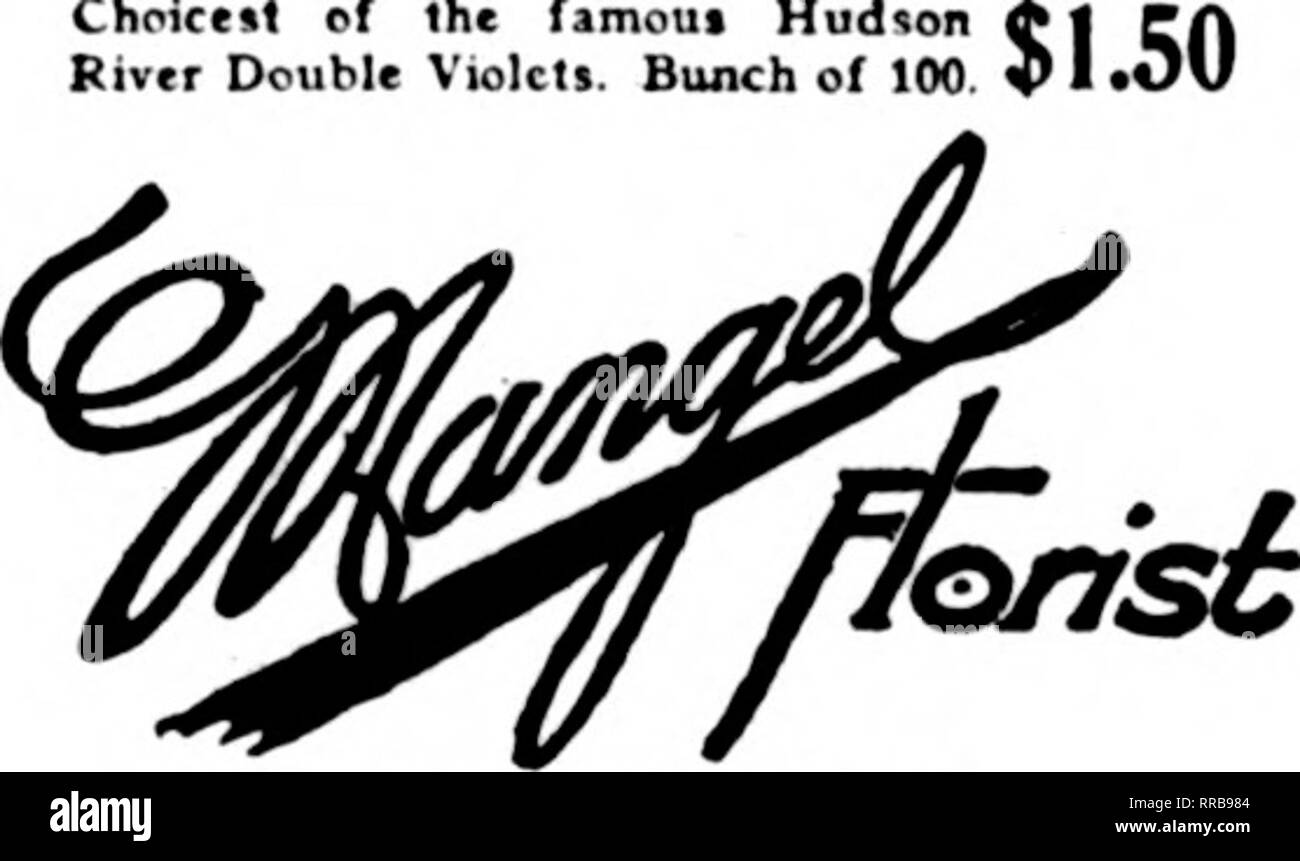 Florists Review Microform Floriculture T He Beautifuf