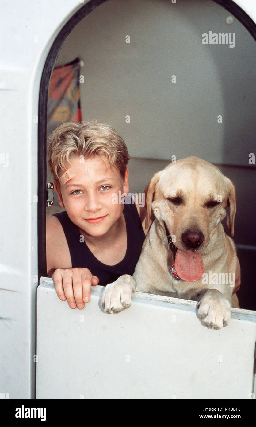 MAX RIEMELT und Sebastian sind dicke Freunde. Doch Sebastian bekommt plötzlich neue Pflegeeltern Ð in Berlin Die Freunde werden getrennt, doch sie versprechen sich, einander bald wiederzu-sehen. Gleichzeitig wird in Berlin Juli, ein wunder-Schöner Labrador, der die letzten Jahre erstaunliche Fähigkeiten als Blindenhund entwickelt hat, von seinem Herrchen getrennt, das unerwartet stirbt. Juli "erbt" dessen VerMögen... aka. 1. Getrennte Wege / Überschrift: ZWEI ALLEIN / D 1998 Stock Photo