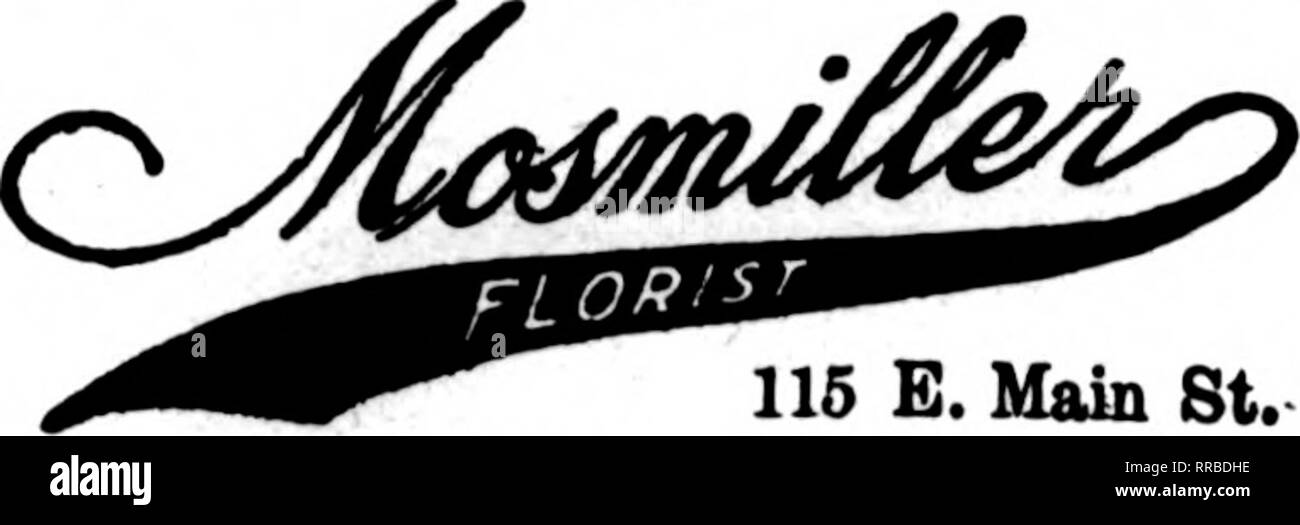 . Florists' review [microform]. Floriculture. 413 Grand Ave. MILWAUKEE EXCLUSIVE FLORAL ARRANGEMENTS BAUMGARTEN, Inc. Member F. T. D. 93 WISCONSIN ST. RICHMOND. VIRGINIA. 115 E. Main St. Member Floriats' Telesrmph DeUverr Anodatiaii Richmond, Va. The Hammond Company, Inc. LEADING FLORISTS 109 EAST BROAD STREET ROANOKE, VA FALLON. Florist Member Florists' Telegraph Delivery Ass's Charlottesville, Va. W. A. Lankford's, Florist °l^'^^ Portsmouth, Va. Cotton The Florist, 333 High St. PETERSBURG, VA. MRS. ROBT. a STILES, Horift Phone 910 1202 W. Waahington St LYNCHBURG, Va. 1 1 FAT 1 ON CO PROMPT s Stock Photo