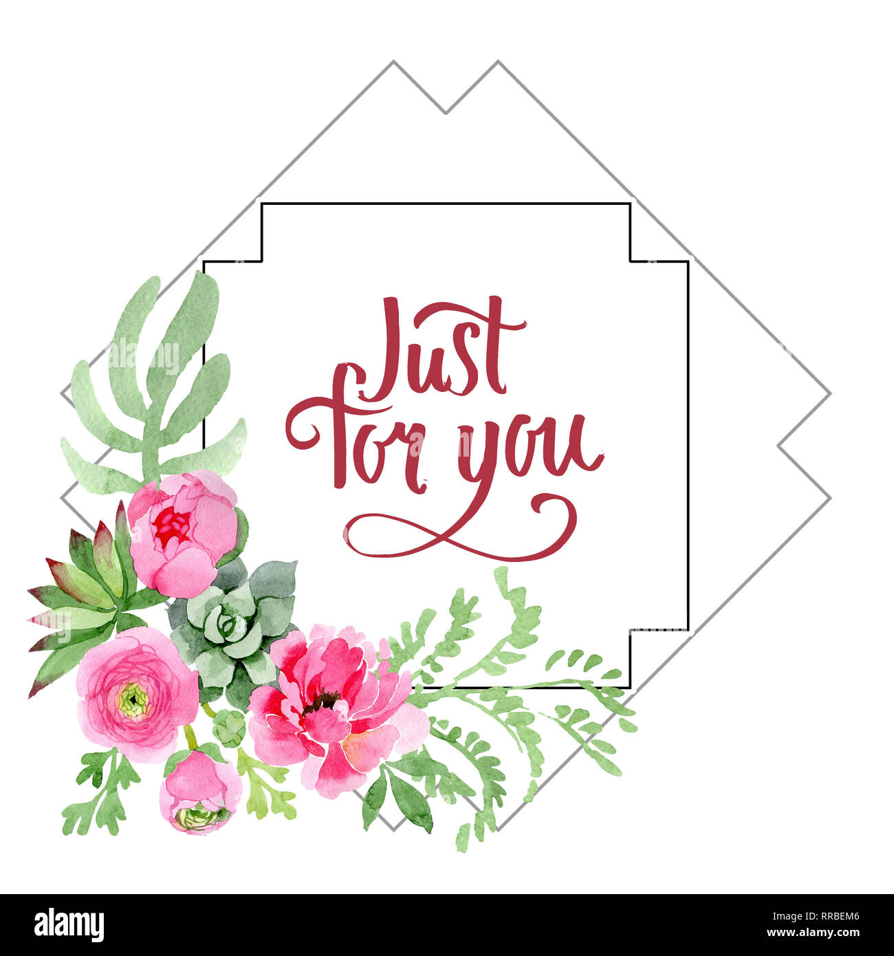 Pink ranunculus floral botanical flowers. Watercolor background ...