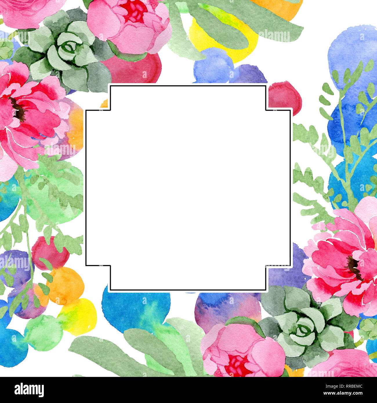 Pink ranunculus floral botanical flowers. Watercolor background ...