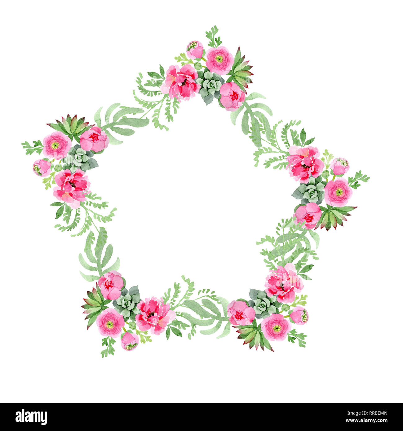 Pink ranunculus floral botanical flowers. Watercolor background ...