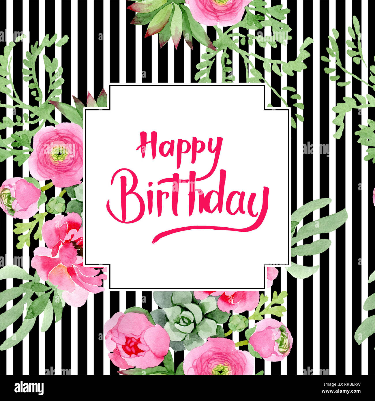 Pink ranunculus floral botanical flowers. Watercolor background ...