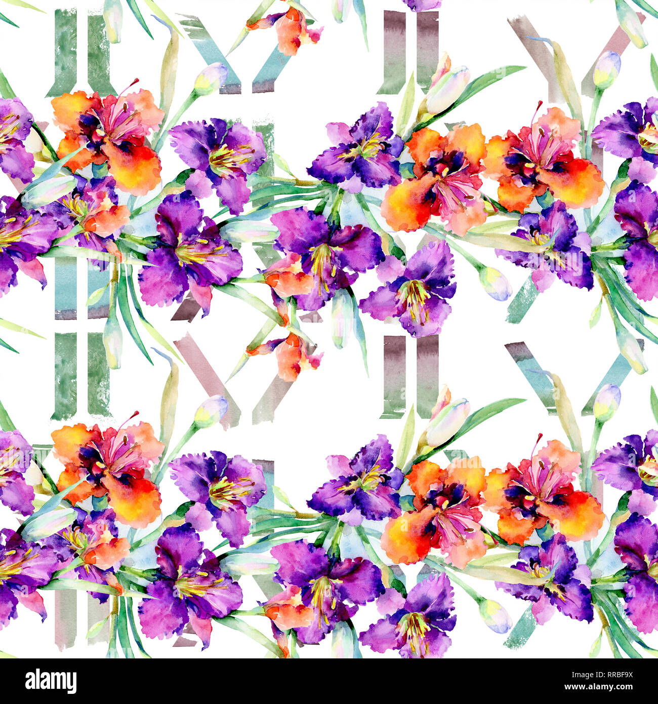 Purple daylily bouquet floral botanical flowers. Watercolor background