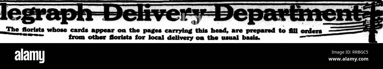 . Florists' review [microform]. Floriculture. The llortoto whose cards appear on the pagec carrying this head, are prepared to flU orders, from other florisU for local delivery on the nsoal basis.. EARL W. CLYDE J. TOLEDO, OHIO .metzbros, F. T. D. MEMBER 221 Superior Street WE ARE LOCATED IN THE HEART OF THE CITY. NEAR HOTEL SECOR WE LEAD Whether for funeral, party or home, your order will be artisti- cally prepsured and delivered by that Zip-Zip Service for which our beautiful store is famous in Columbus, O. The Wilson Seed &amp; Floral Co. Members of F. T. D. Hutchinson, Kansas Member Floris Stock Photo