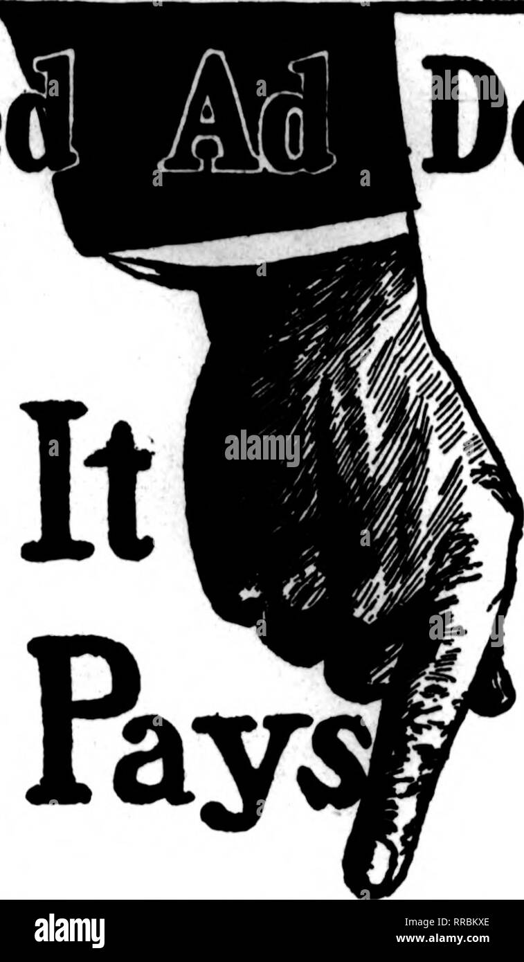 An 140 100 Black and White Stock Photos & Images - Alamy