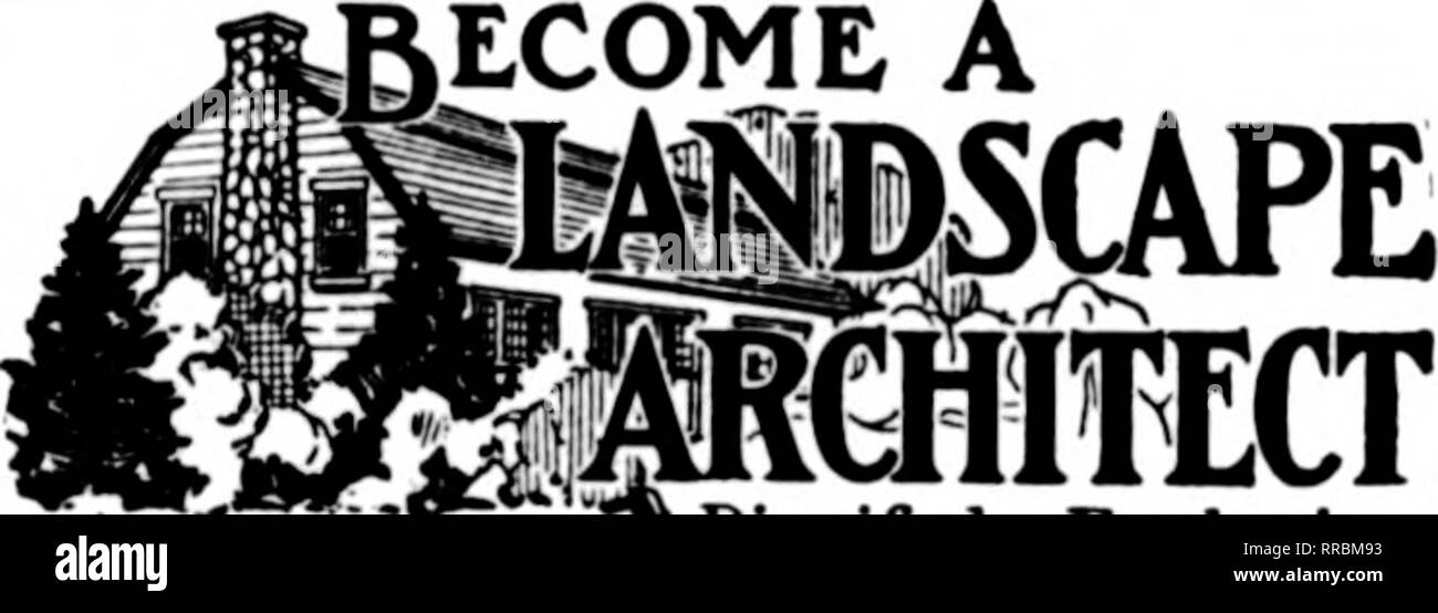 . Florists' review [microform]. Floriculture. 98 The Florists^ Review