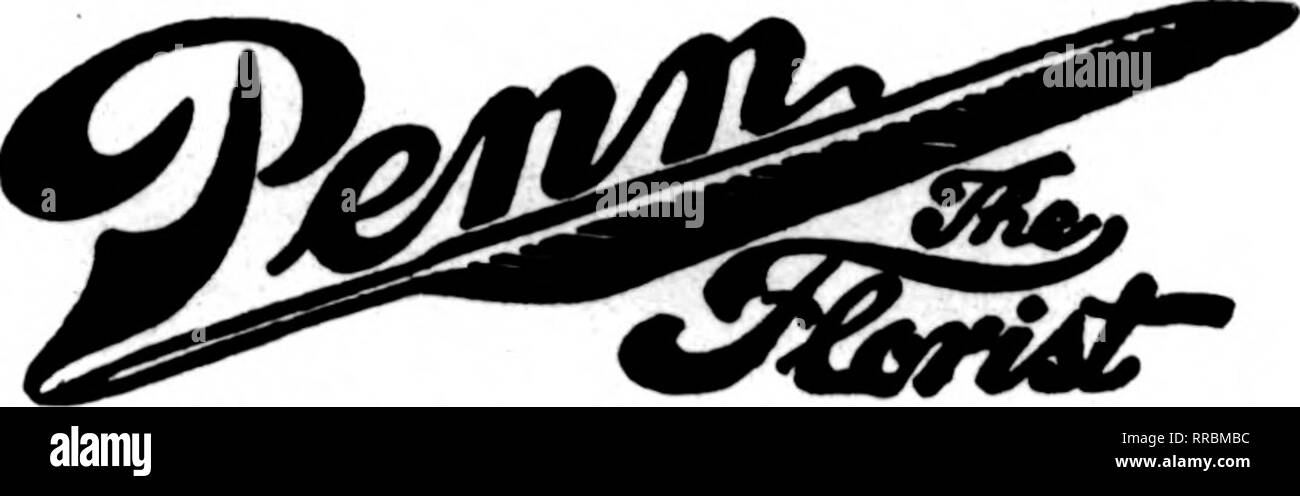 mr delivery burlington vt