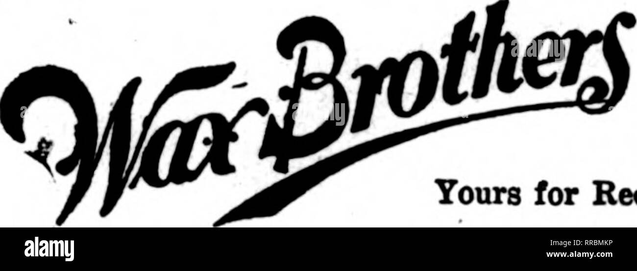 Flowers Give Stock Photos Flowers Give Stock Images Page 38