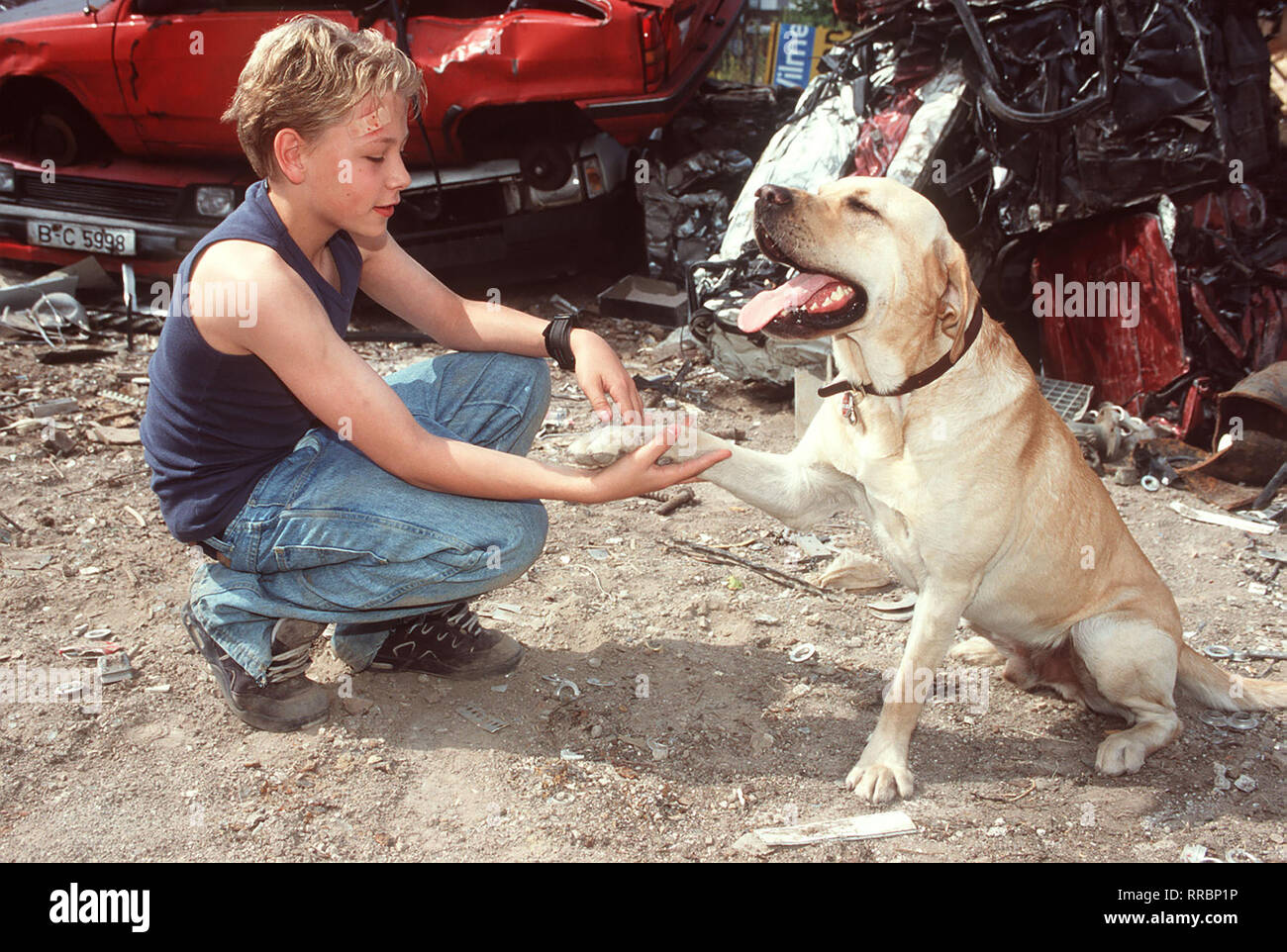 hund max
