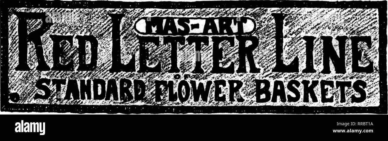 . Florists' review [microform]. Floriculture. 110 The Florists' Review NOVEMBBB 24, 1921 Send for our Illustrated Folder about. MAS-ART BASKET WORKS, Inc., 2001 East 14th St., Oakland, Cal. CALIFORNIA ZINNIAS NEW, EARLY DAHLIA-FLOWERED ZINNIA SEED—NOW READY Write for our catalogue and prices R. G. FRASER &amp; SON, Wholesale Seed Growers, ITJ%% PASADENA, CALIF. ning, Ardsley, N. Y., aud John Coombs, Hartford, Conn V. N. C. TEWKSBURY, MASS. Frajik P. Putnam's Place. In and around Tewksbury is a con- eiderablc number of commercial grow- crs who ship to the Boston wliolesaU- markets and some fin Stock Photo