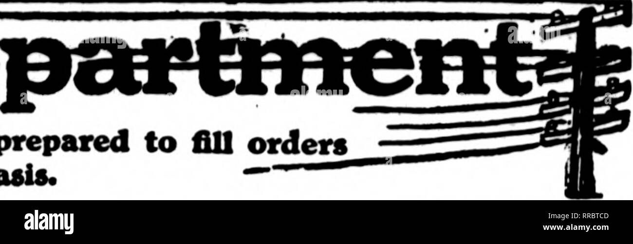 Bel red Black and White Stock Photos & Images Alamy