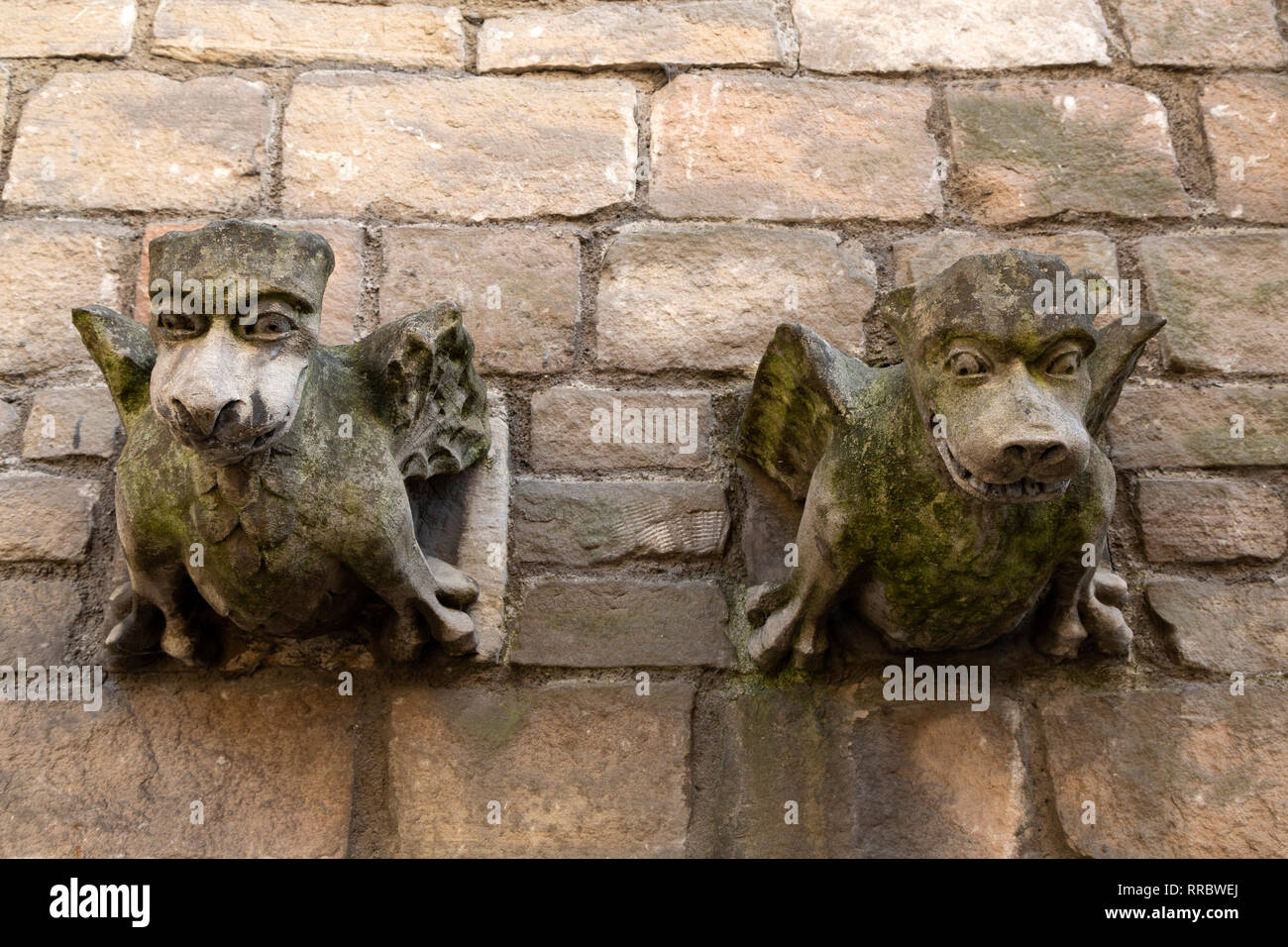 Stone gargoyles in York, England. They are on a wall at the St Martin le Grand church. Stock Photo